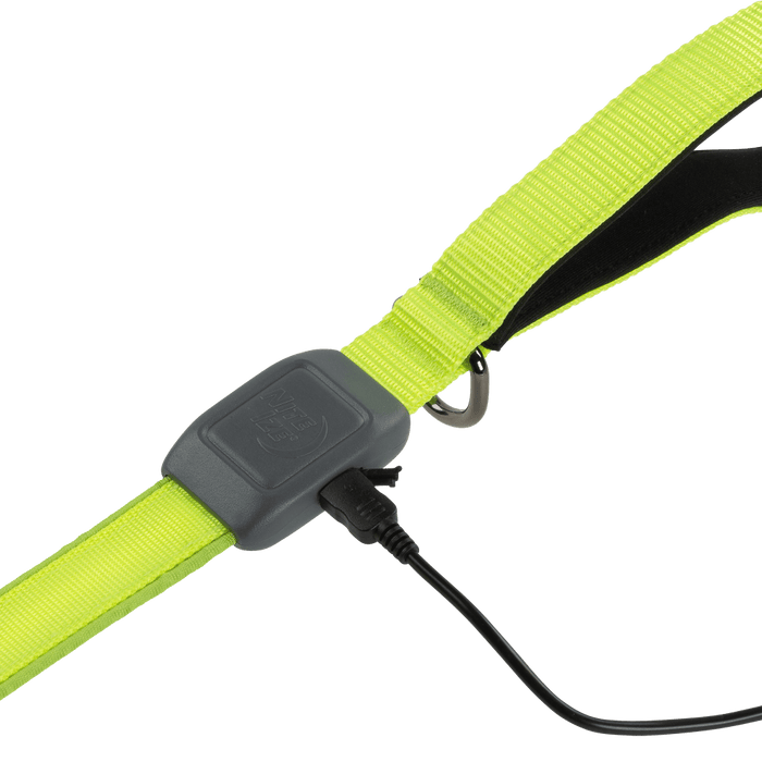 Nite Ize Rechargeable LED Leash Green