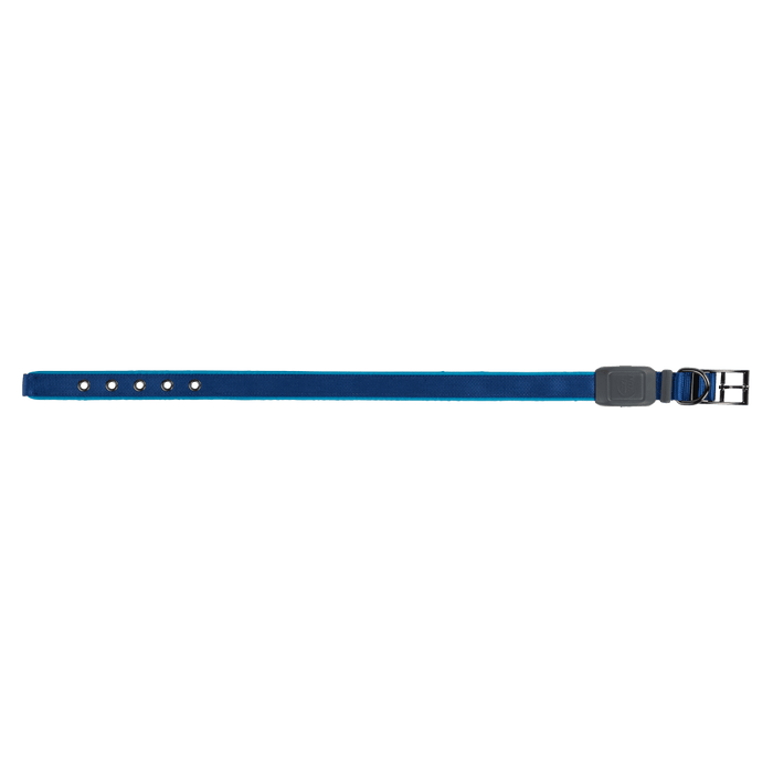 Nite Ize NiteDog Rechargeable LED Collar Large Blue