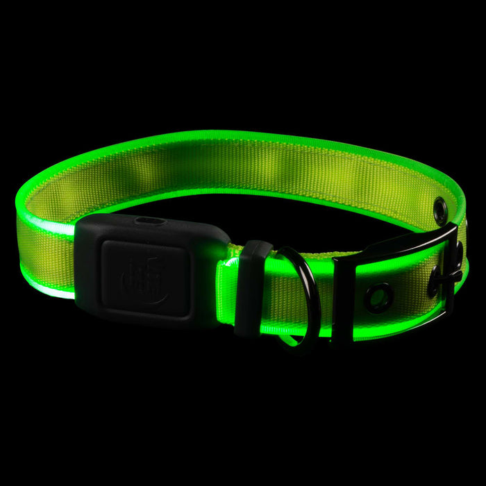 Nite Ize NiteDog Rechargeable LED Collar Medium Lime