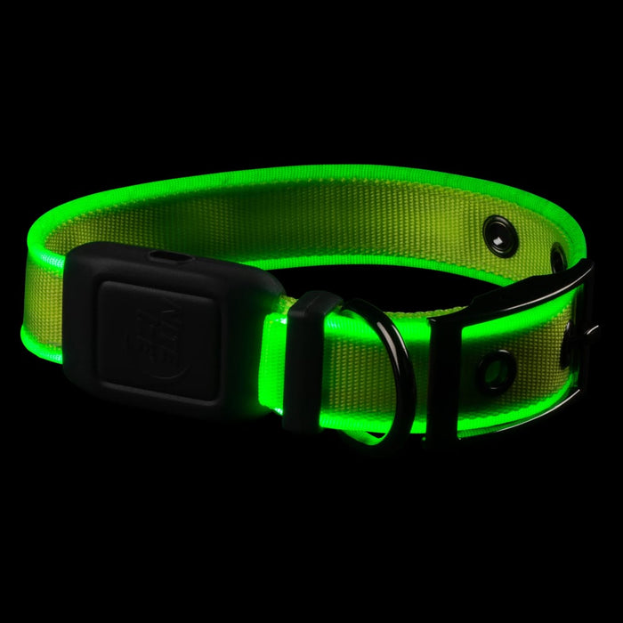 Nite Ize NiteDog Rechargeable LED Collar Small Lime