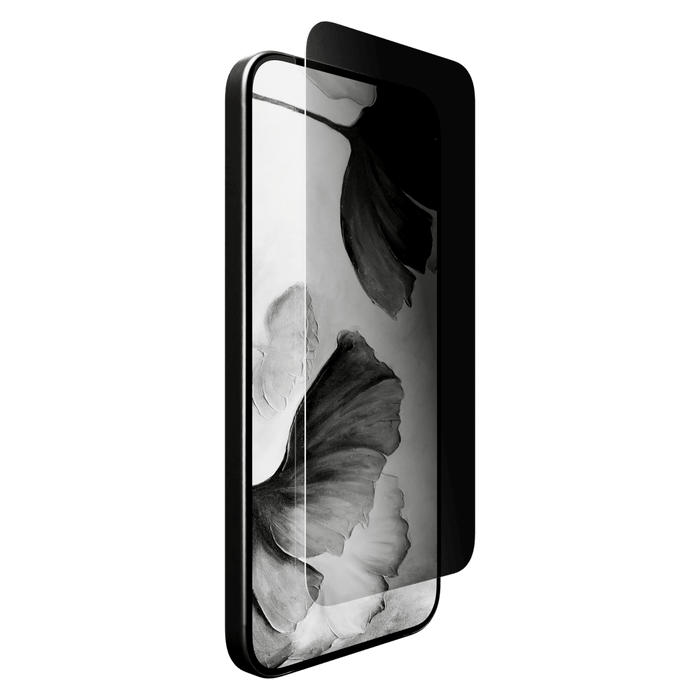 Cellhelmet Privacy Tempered Glass Screen Protector for Apple IP16PLUS Clear