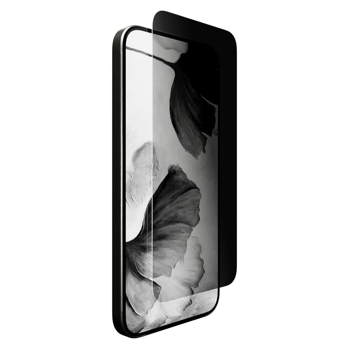 Cellhelmet Privacy Glass Screen Protector with Application Tray for Apple iPhone 17 Pro