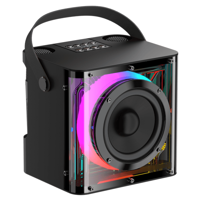 Sway Minioke DUET 20W Speaker with Dual Wireless Microphones Black