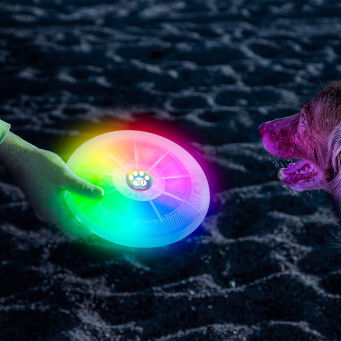 FlashFlight Dog Discuit Light Up Flying Disc